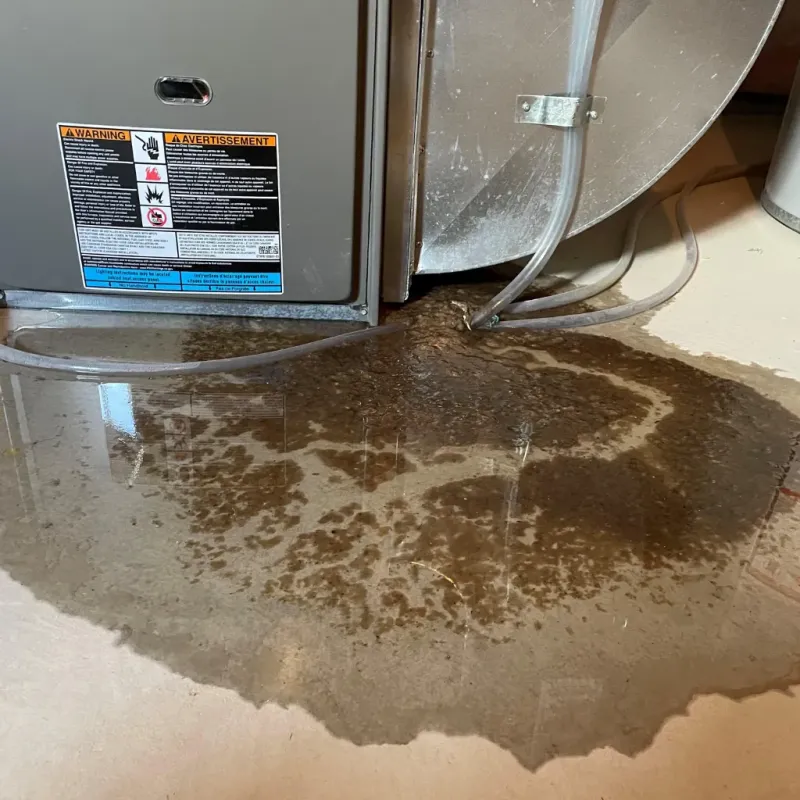 Appliance Leak Cleanup in Cypress, CA